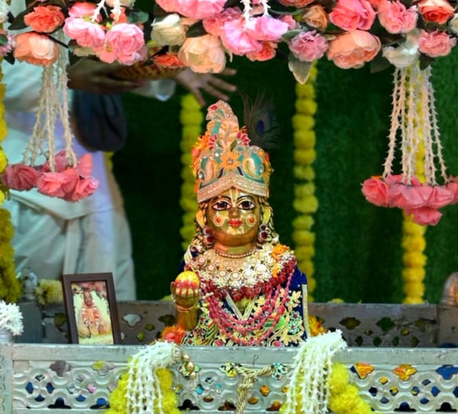 Jhulan Seva