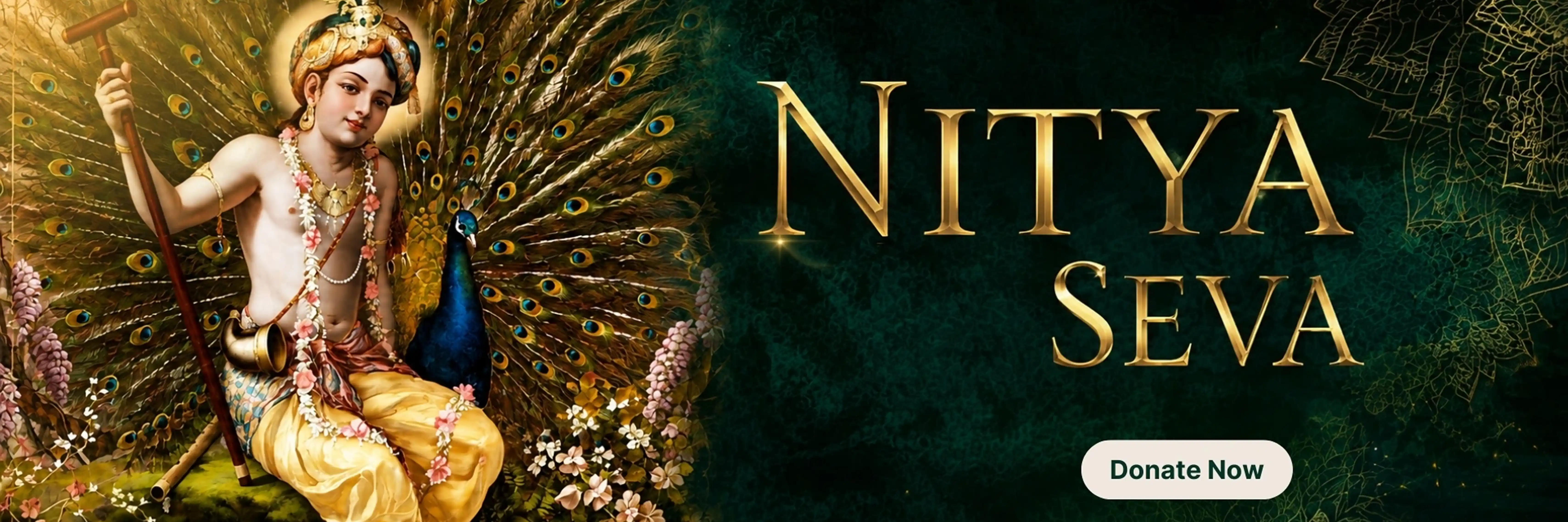 Nitya Seva — Donate Now