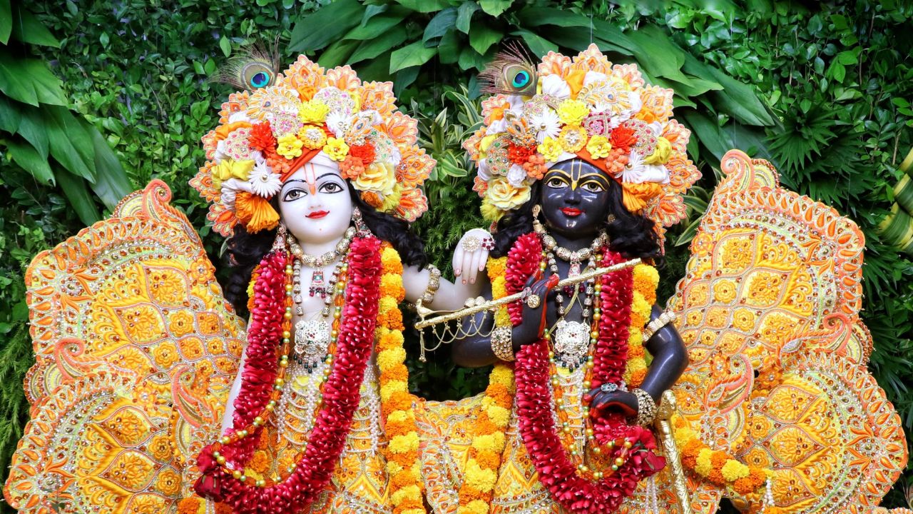 Offer Nitya Seva to Krishna