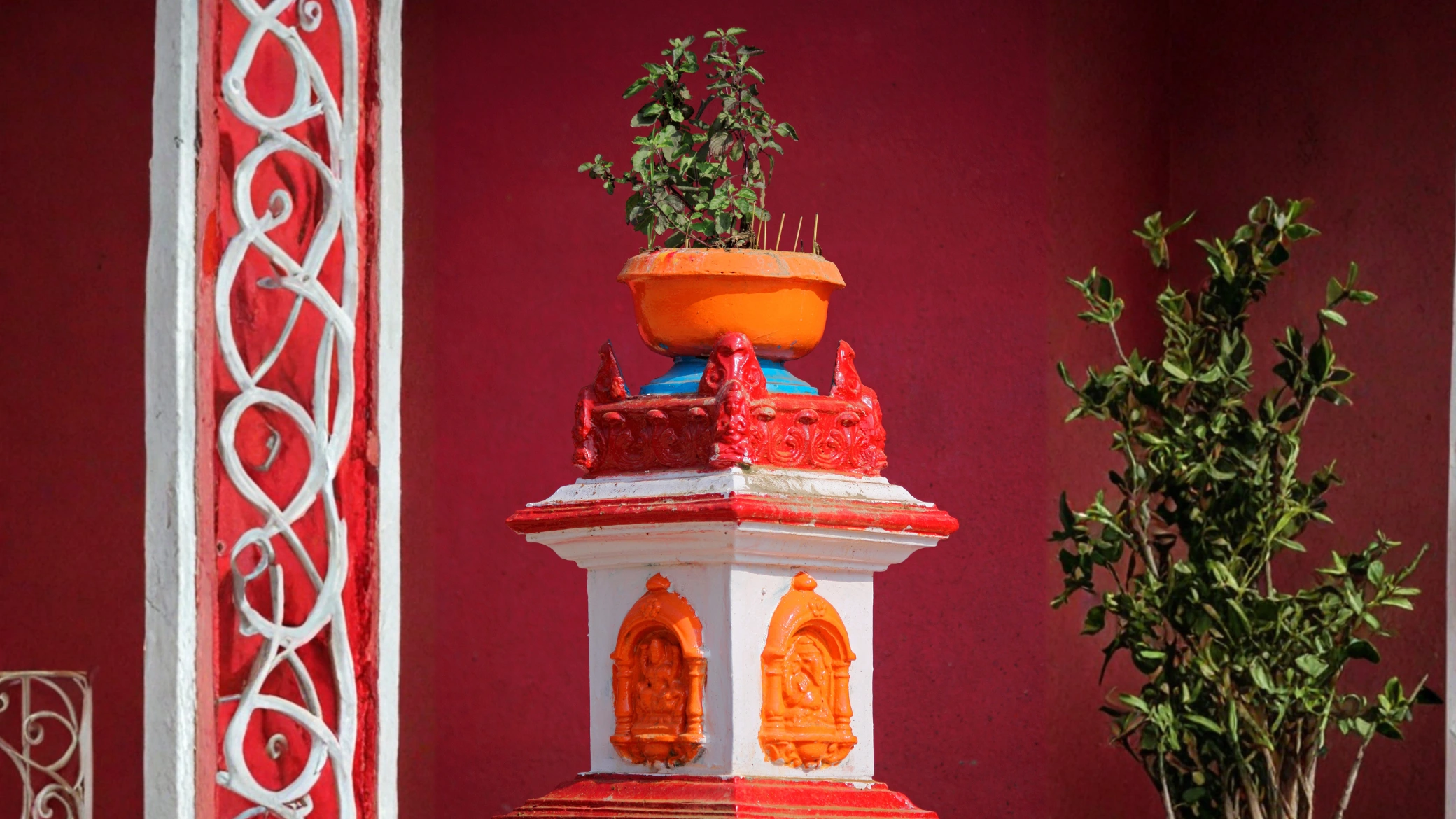 Tulsi Shaligram Vivah Highlights