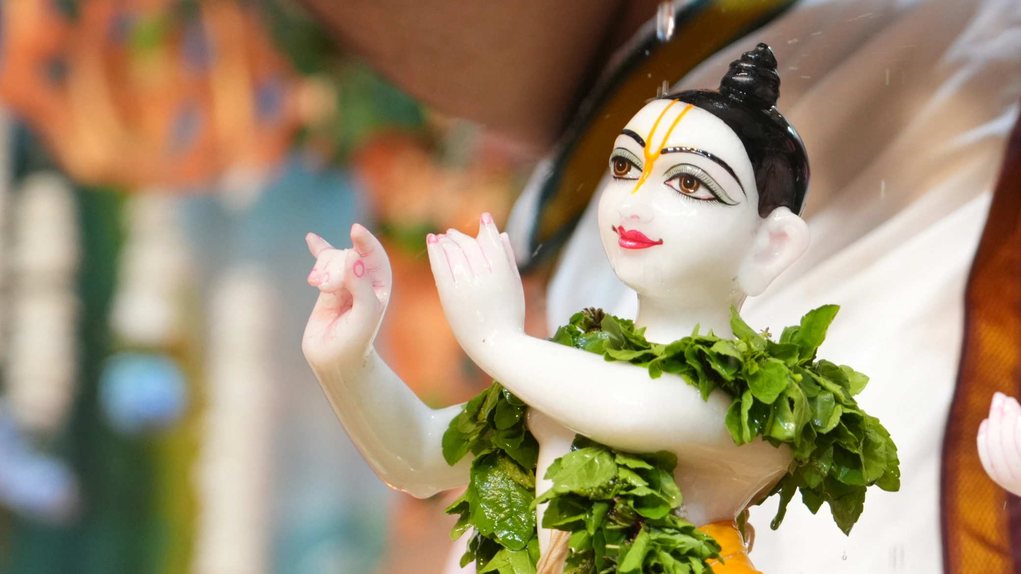 Tulsi Shaligram Vivah Highlights