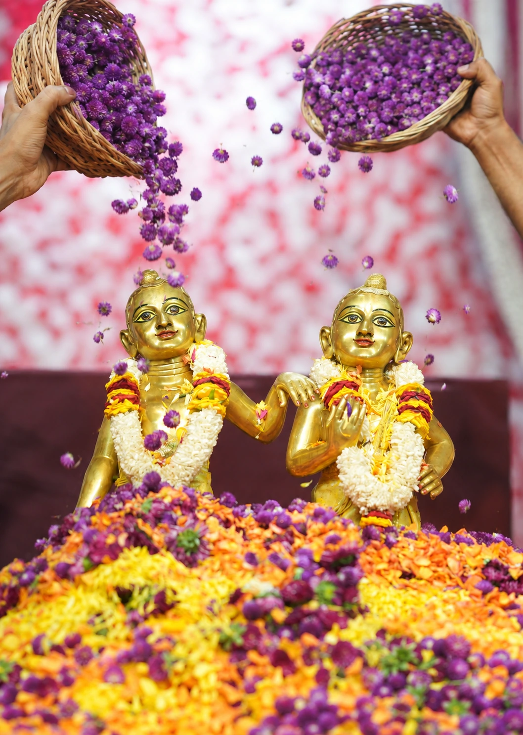 JN Pushpa Abhishek