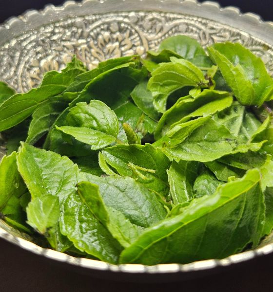 Tulsi Arpan Seva