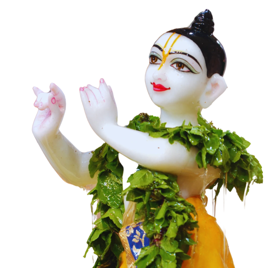 JN Tulsi Arpan Seva